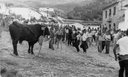 Historia del toro de Grazalema