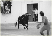 Historia del toro de Grazalema