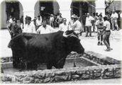 Historia del toro de Grazalema