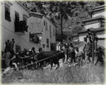 Historia del toro de Grazalema